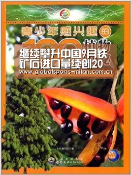 继续攀升中国9月铁矿石进口量续创20个月新高|意大利足球(图2) 米兰赛事