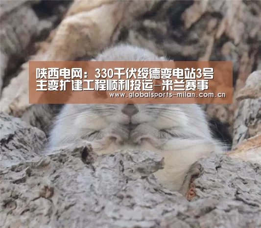 陕西电网:330千伏绥德变电站3号主变扩建工程顺利投运-米兰赛事(图2) 国际米兰