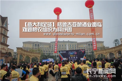 【意大利足球】格鲁吉亚酿酒业面临难题粮农组织为其纾困(图2) 意甲联赛