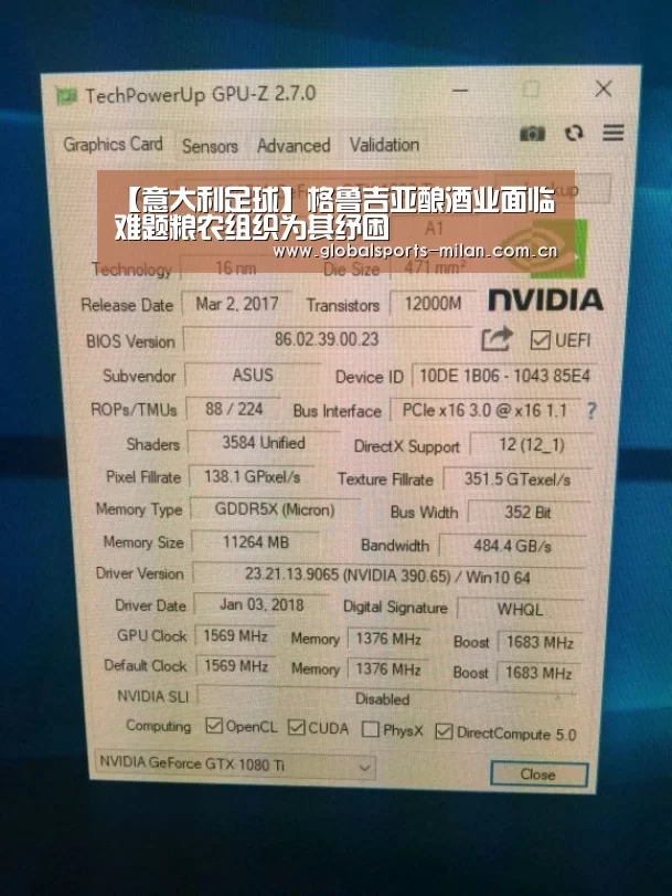 【意大利足球】格鲁吉亚酿酒业面临难题粮农组织为其纾困(图1) 意大利足球