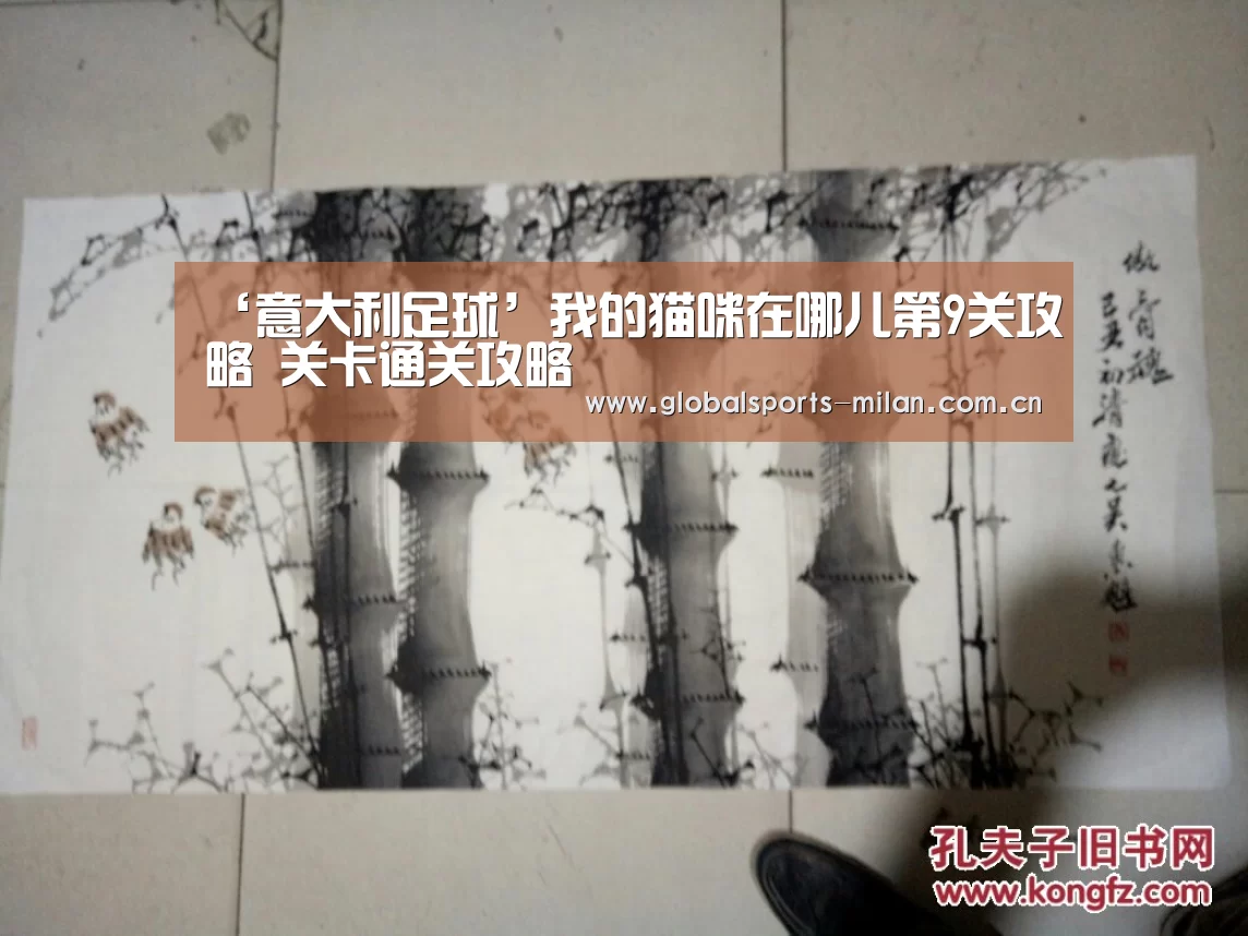 ‘意大利足球’我的猫咪在哪儿第9关攻略 关卡通关攻略(图1) 国际米兰