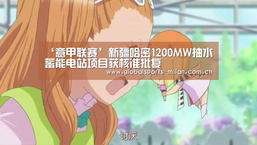 ‘意甲联赛’新疆哈密1200MW抽水蓄能电站项目获核准批复(图1) 意甲联赛