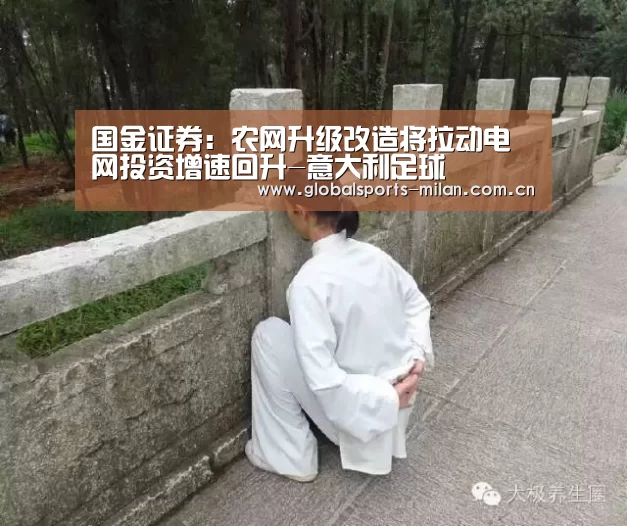 国金证券:农网升级改造将拉动电网投资增速回升-意大利足球(图2) 意大利足球