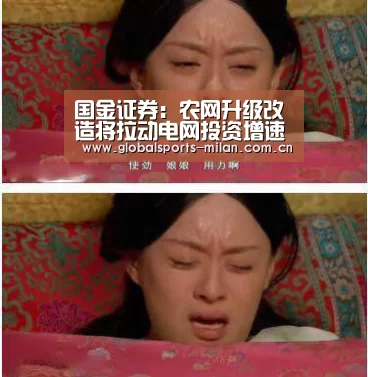 国金证券:农网升级改造将拉动电网投资增速回升-意大利足球(图3) 意大利足球