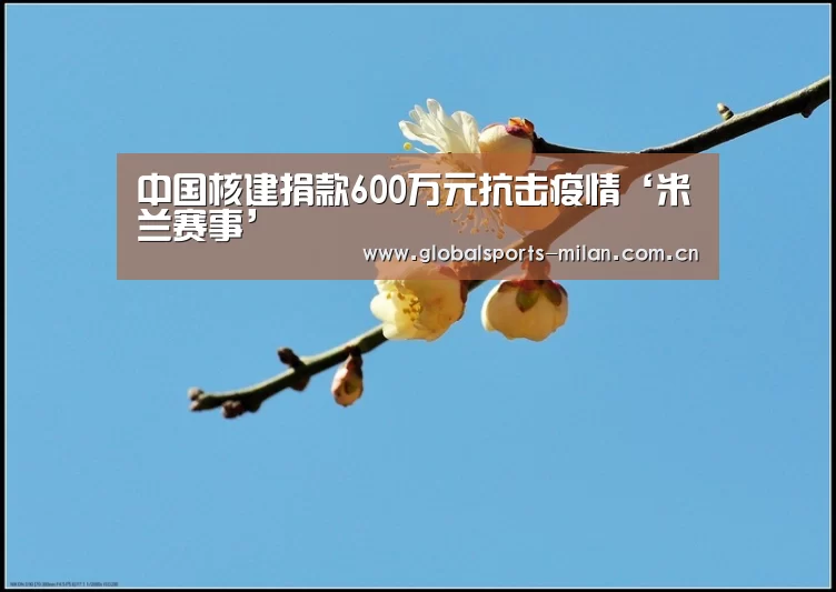 中国核建捐款600万元抗击疫情‘米兰赛事’(图4) 米兰赛事