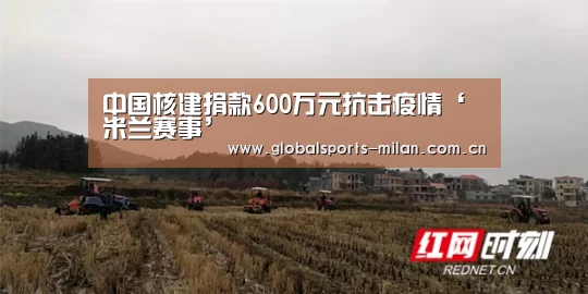 中国核建捐款600万元抗击疫情‘米兰赛事’(图2) 意大利足球